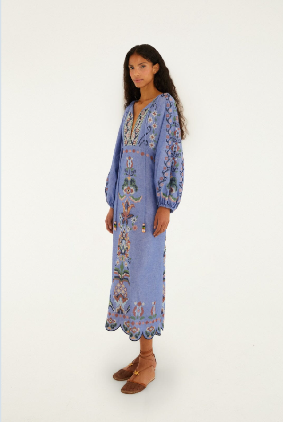 Farm Rio Garden Tapestry Embroidered Midi Dress - Blue
