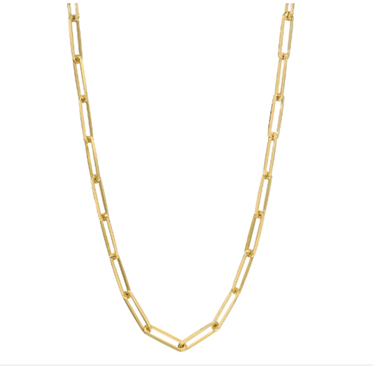 Chammomile Long Link Chain - 16"